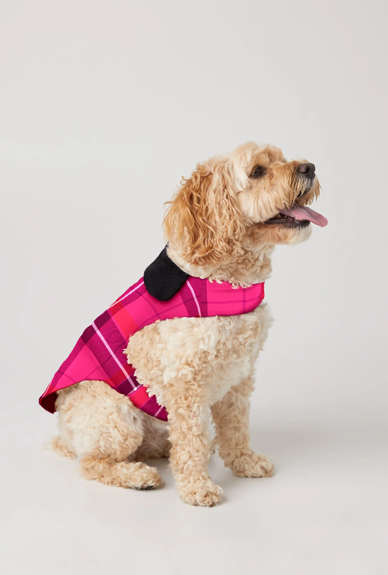 Aurora Plaid Flannel Dog Jacket