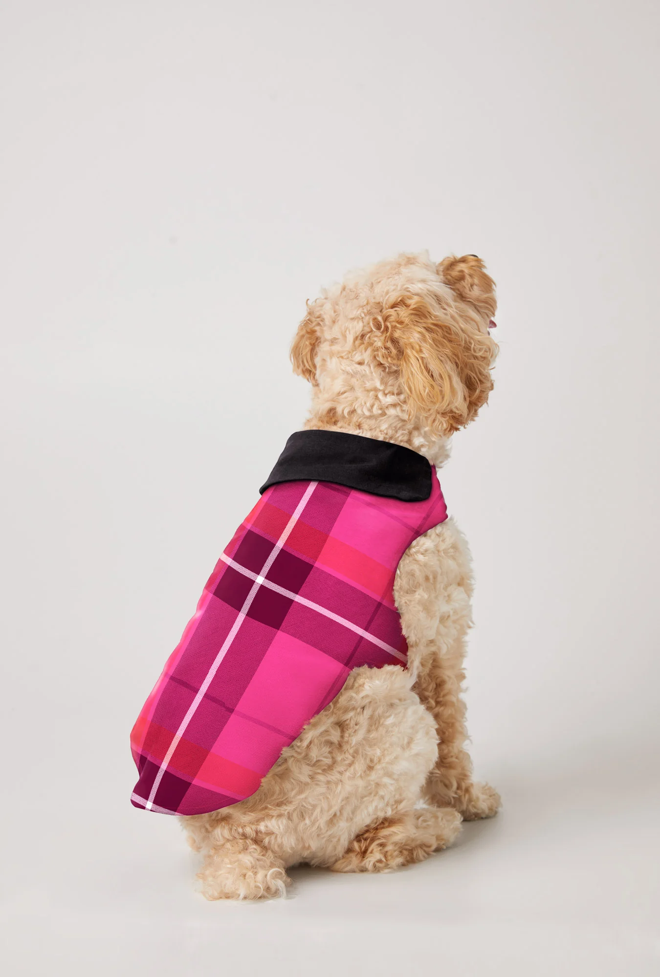 Aurora Plaid Flannel Dog Jacket - Image 2