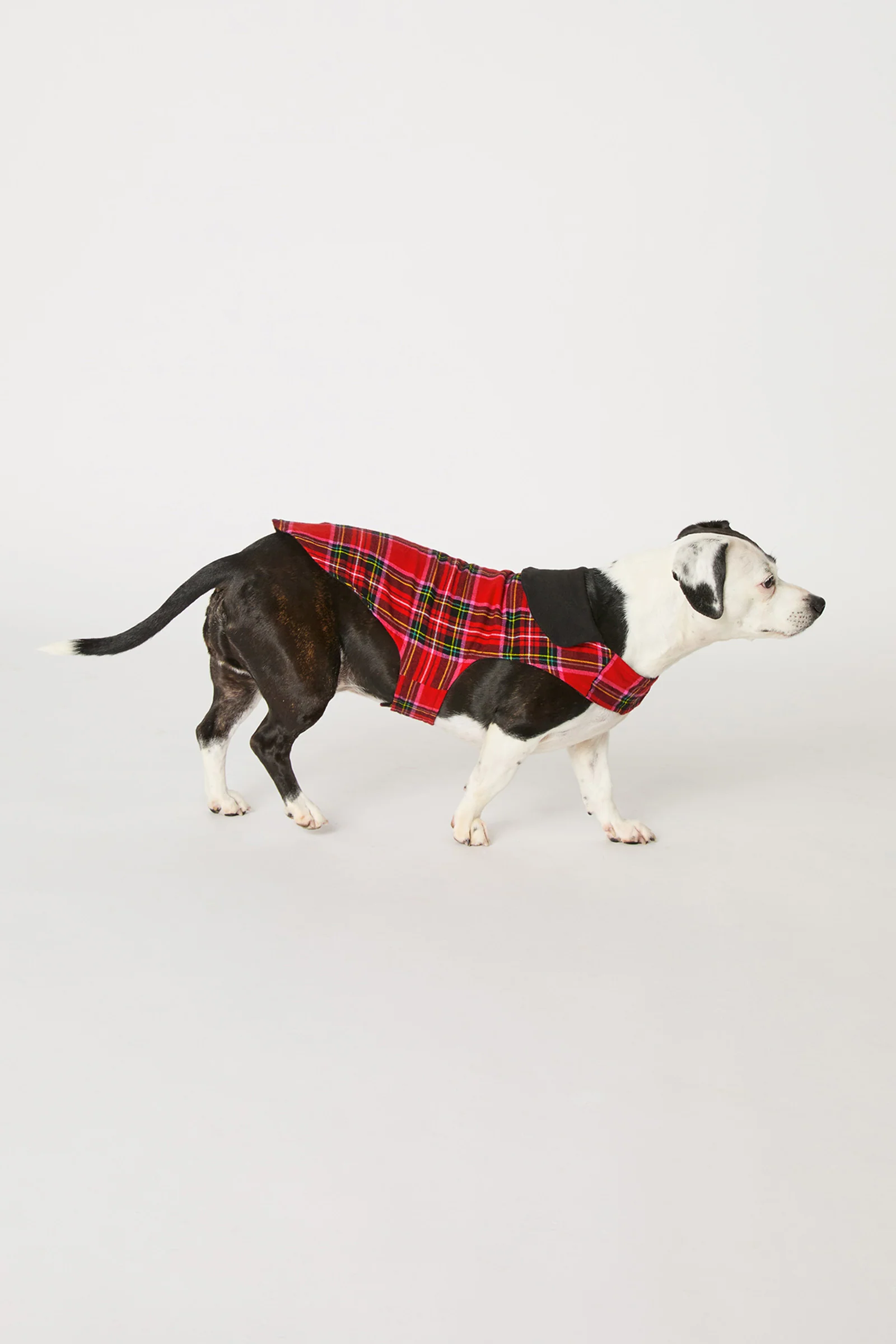 Dog Pajama - Christmas Plaid