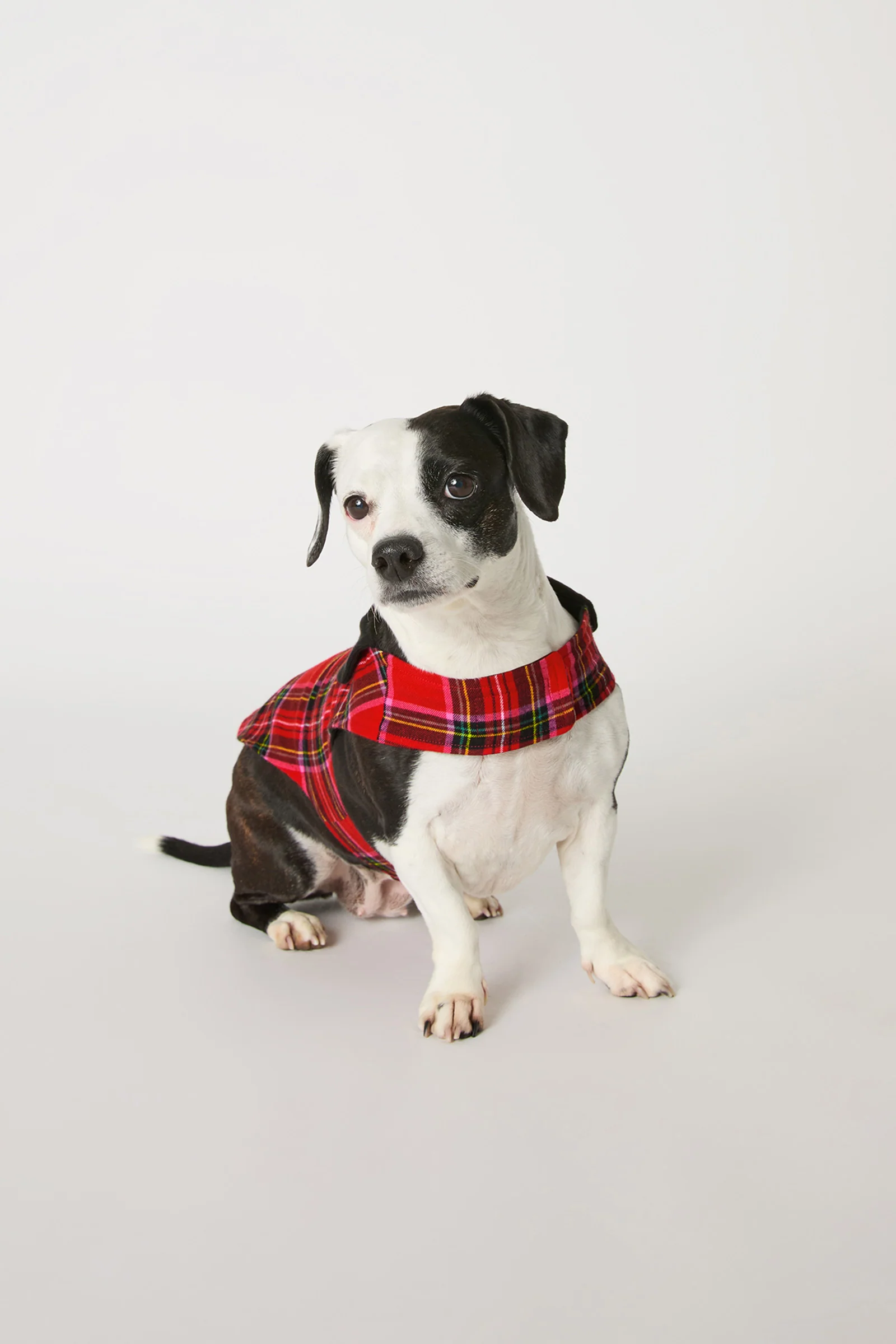Dog Pajama - Christmas Plaid - Image 2