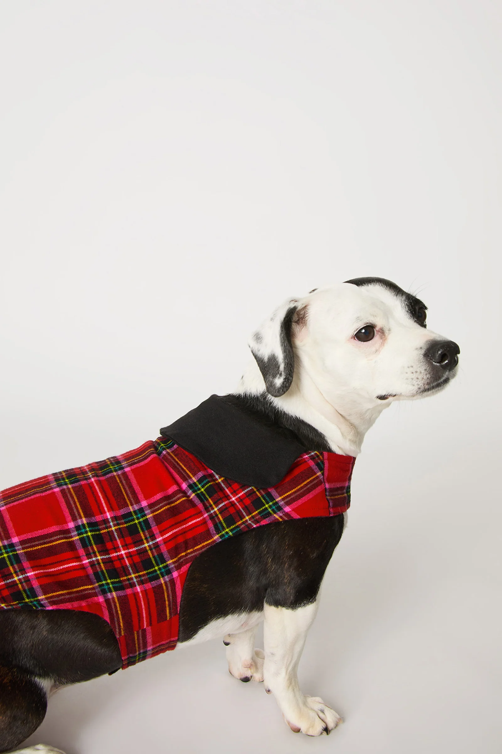 Dog Pajama - Christmas Plaid - Image 3