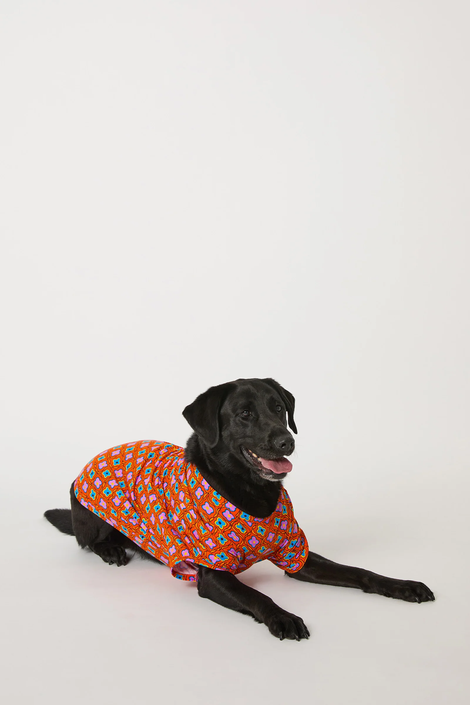 Dog Pajama - Daisy Foulard