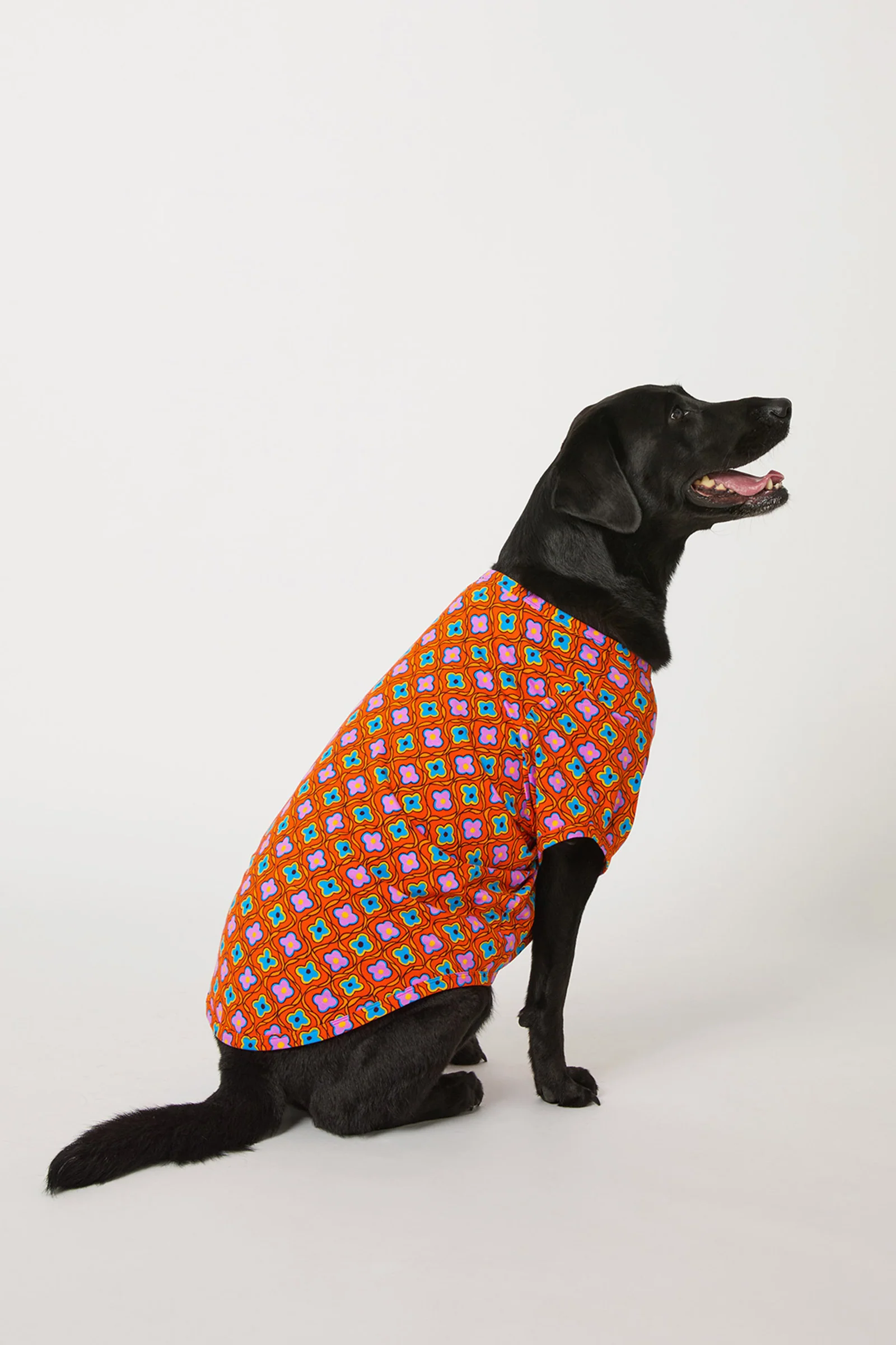 Dog Pajama - Daisy Foulard - Image 2