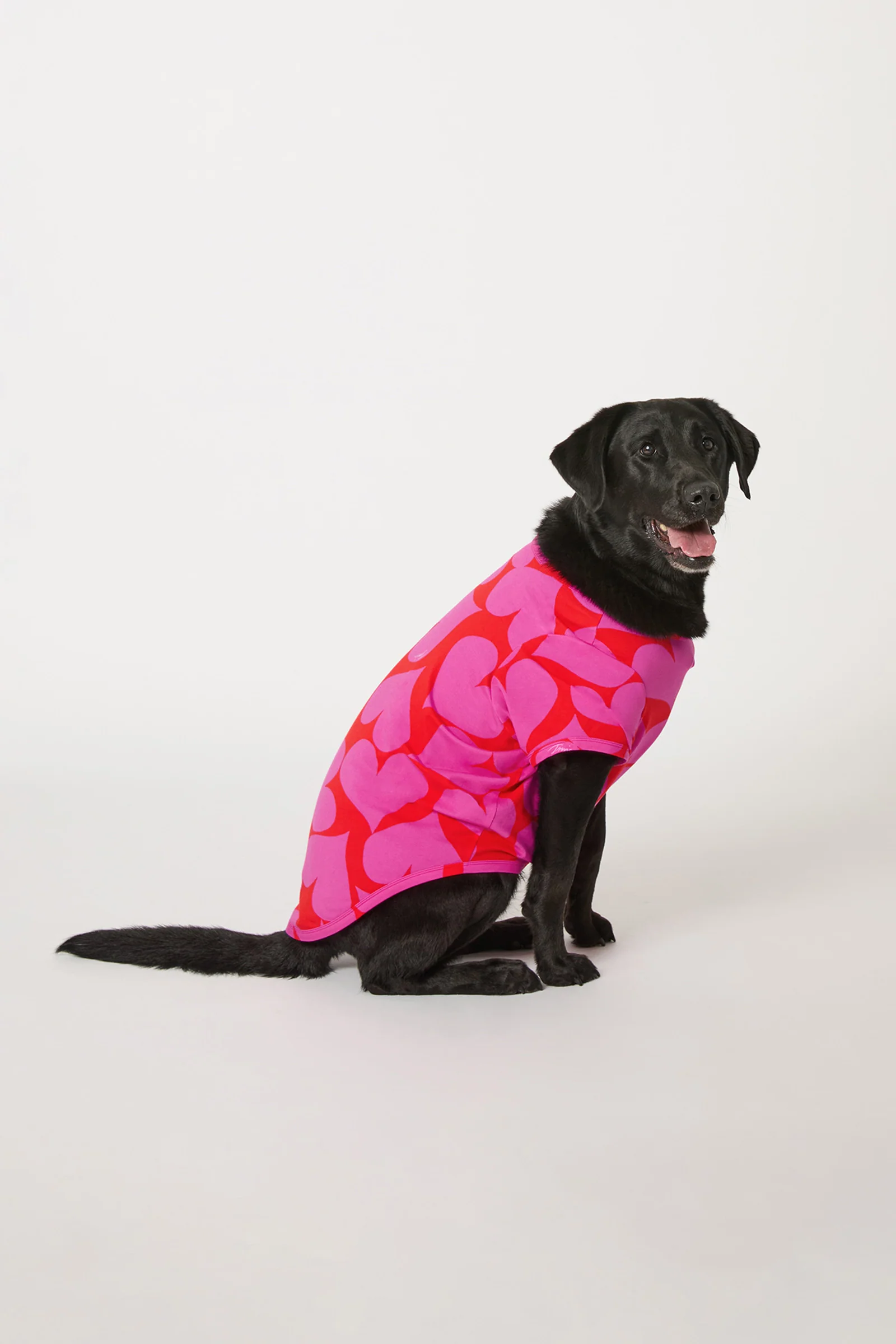 Dog Pajama - Hearts