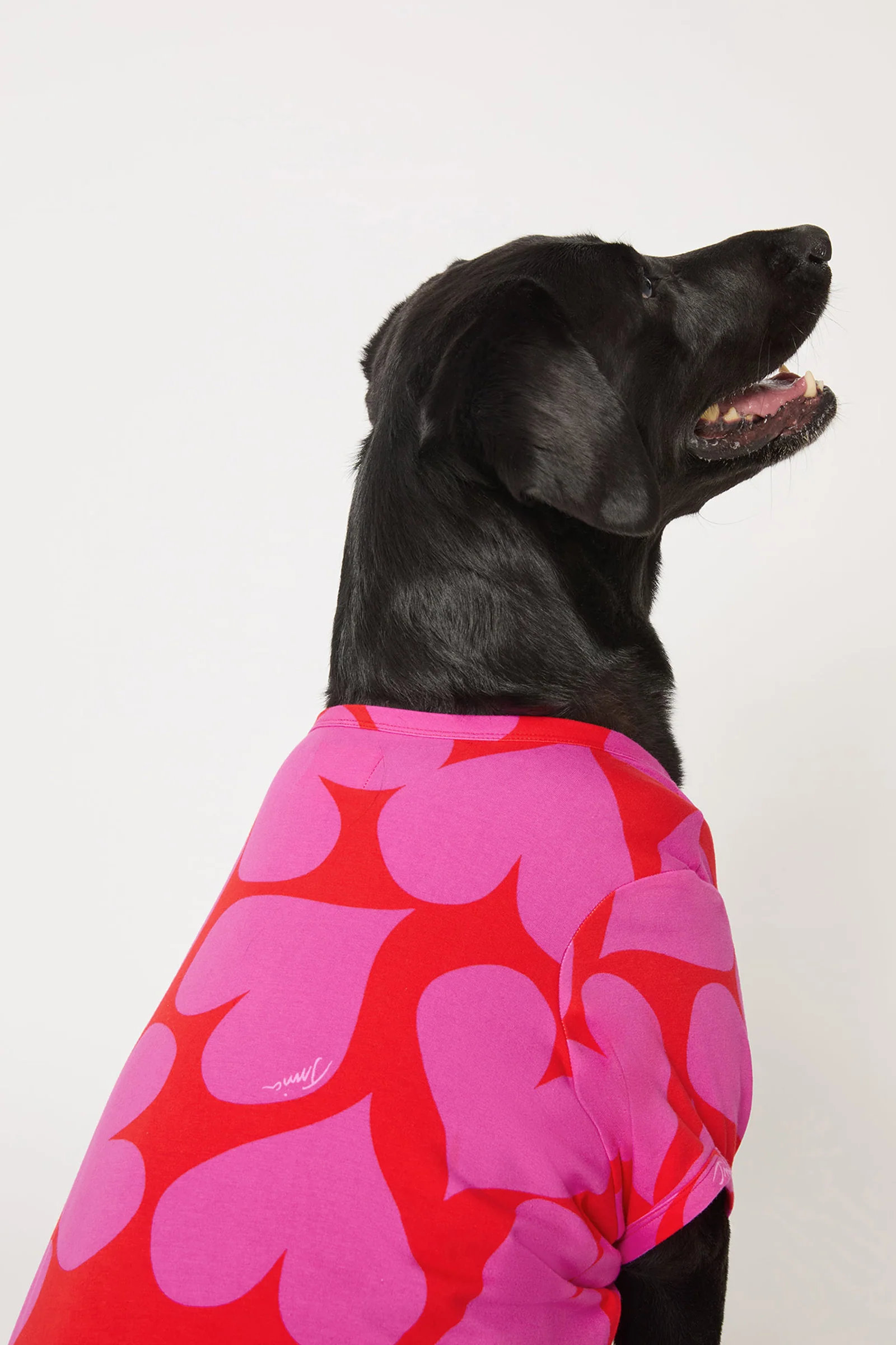 Dog Pajama - Hearts - Image 2