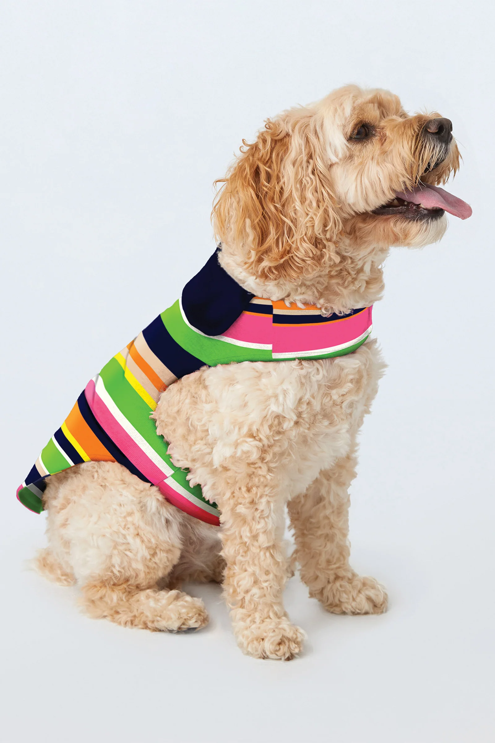 Dog Pajama Shirt - Poolside Stripe Poplin