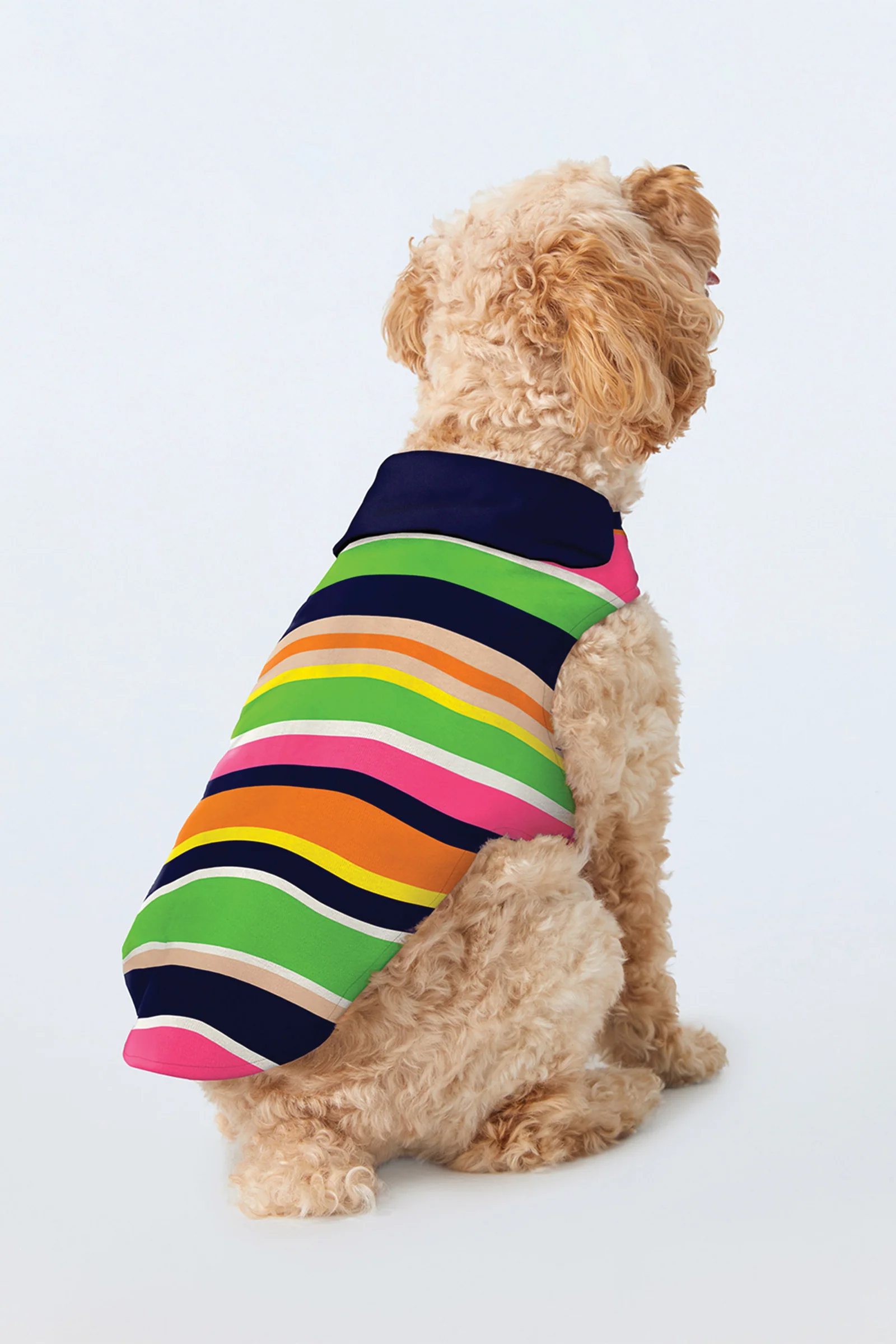 Dog Pajama Shirt - Poolside Stripe Poplin - Image 2