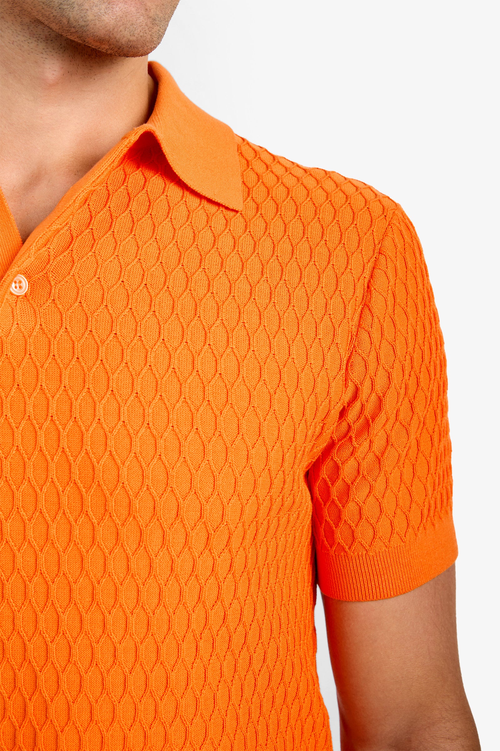 Honalo Polo - Image 4