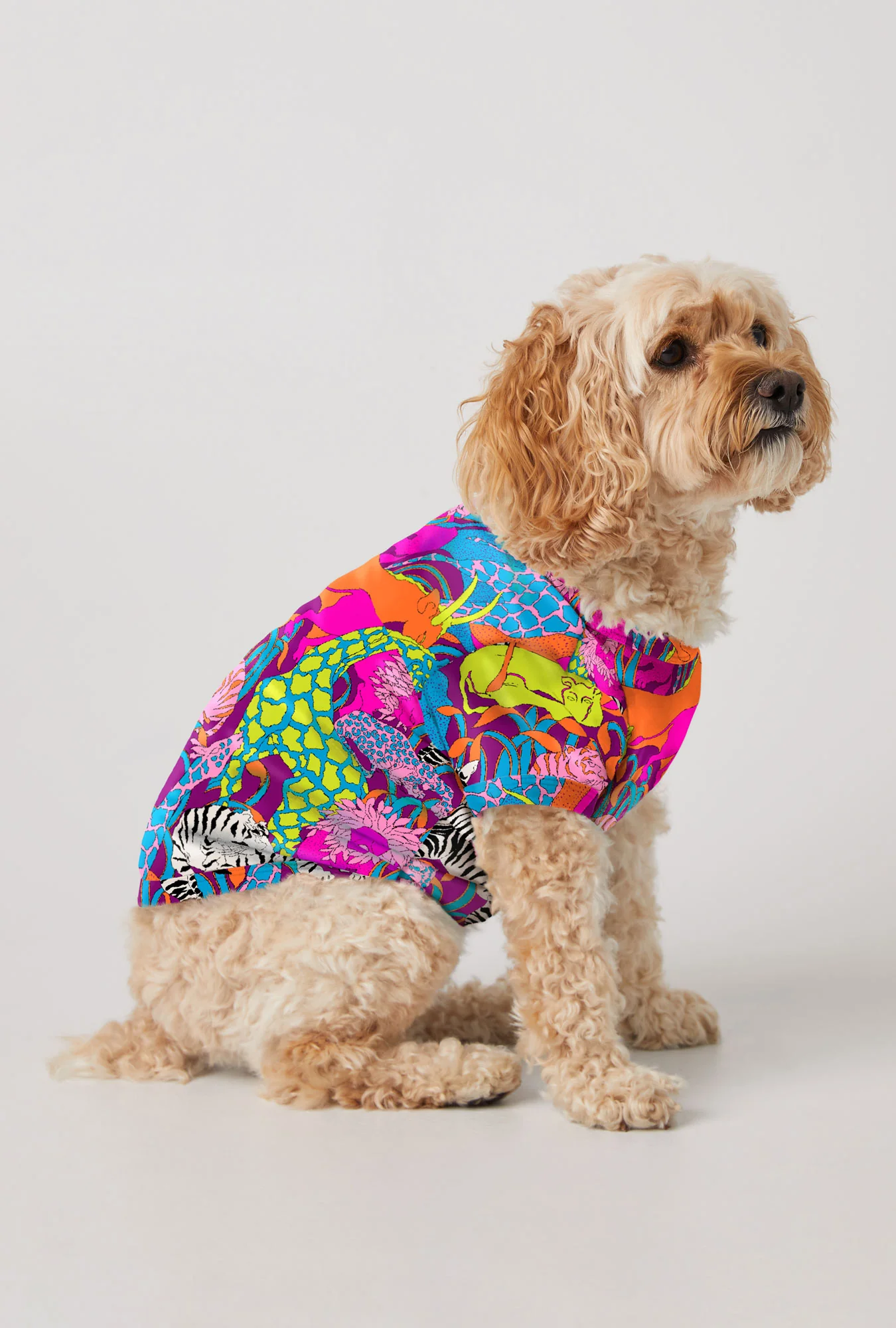 Jungle Dog Pajama