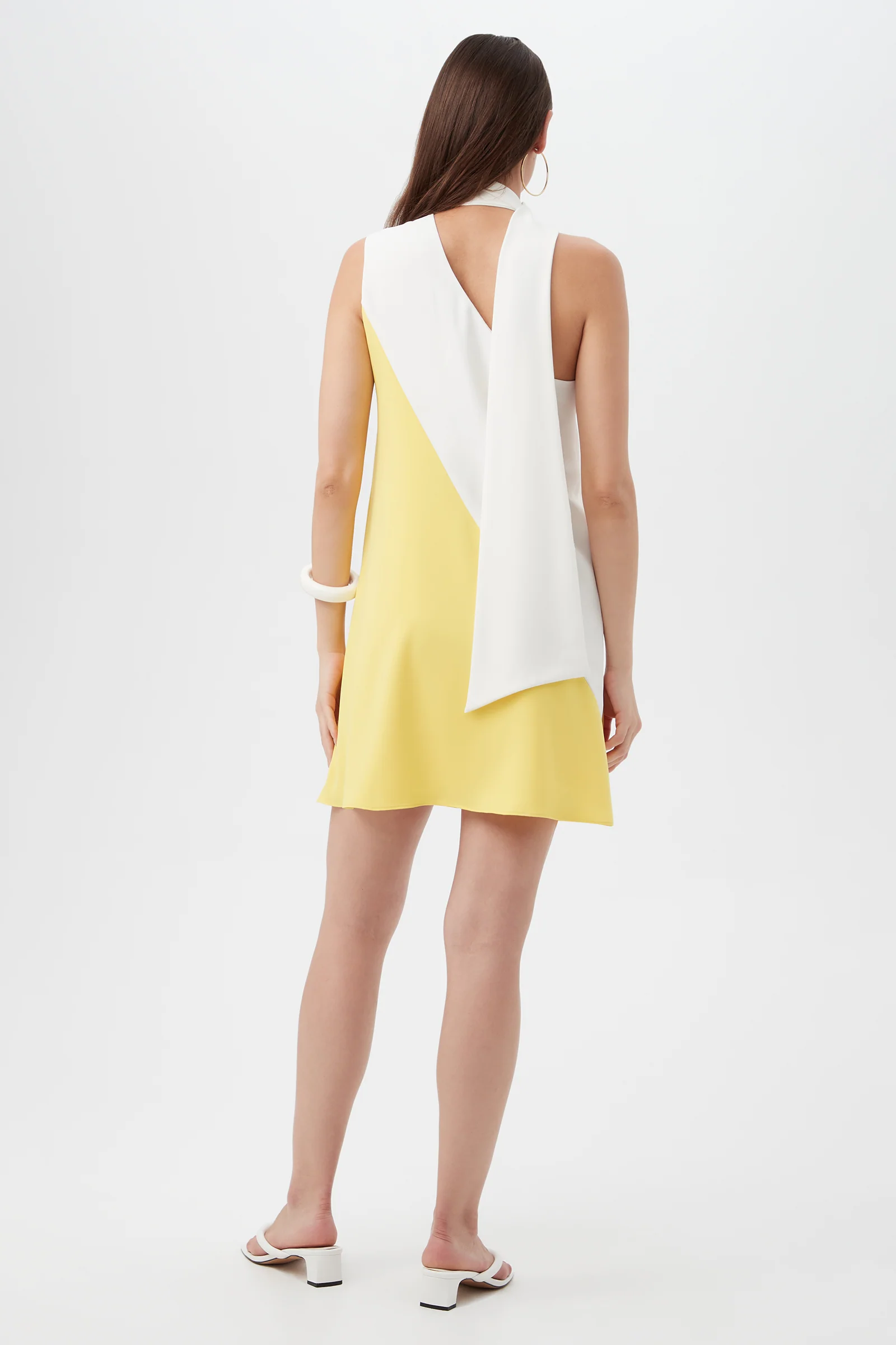 Mielle Sleeveless Color-Block Dress - Image 3