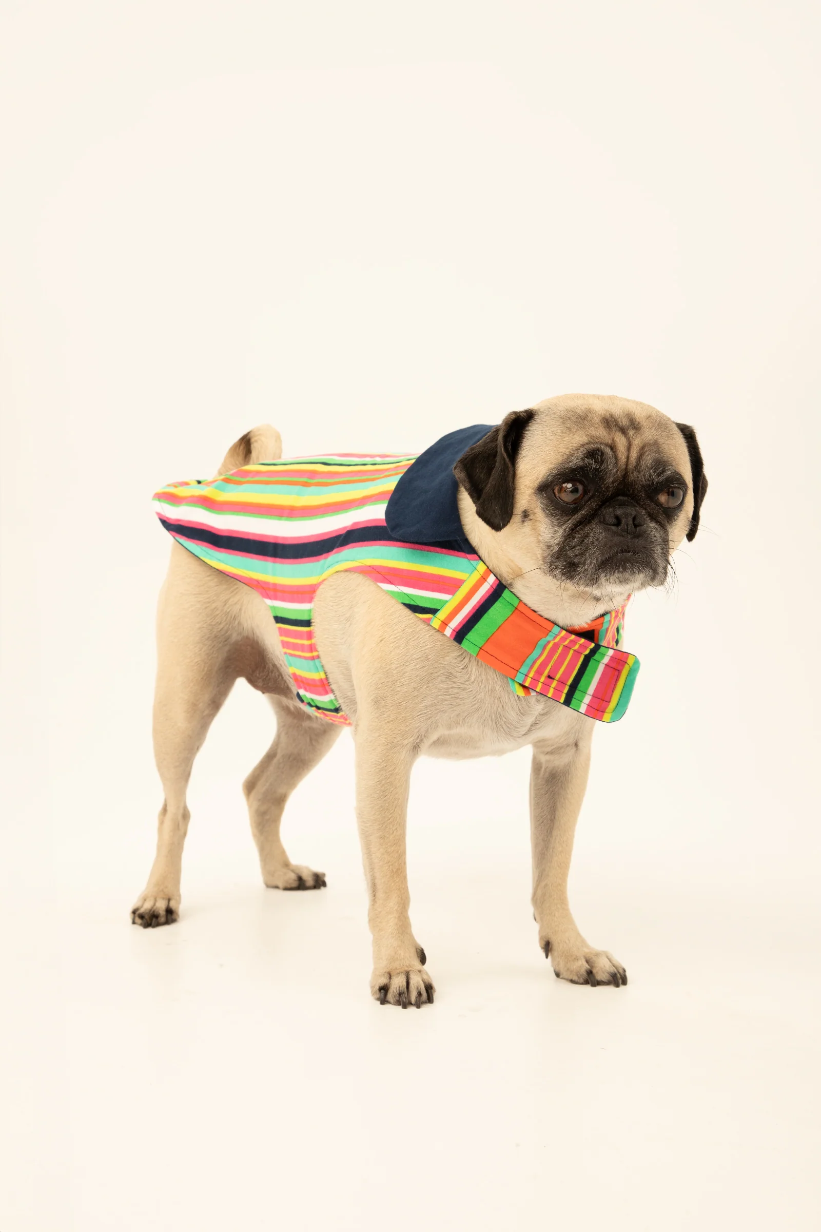 Stripe Lined Pet Pajama