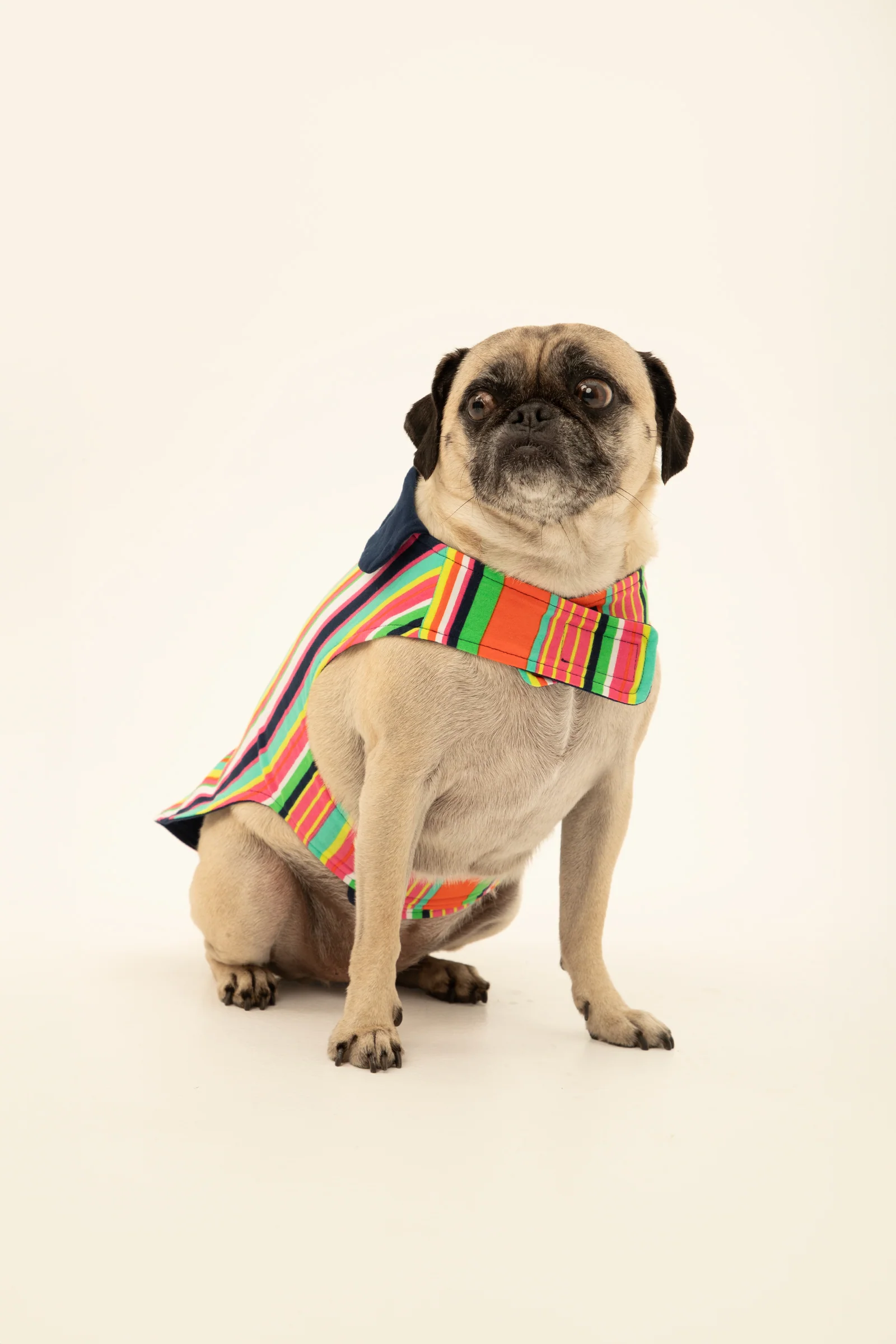 Stripe Lined Pet Pajama - Image 2